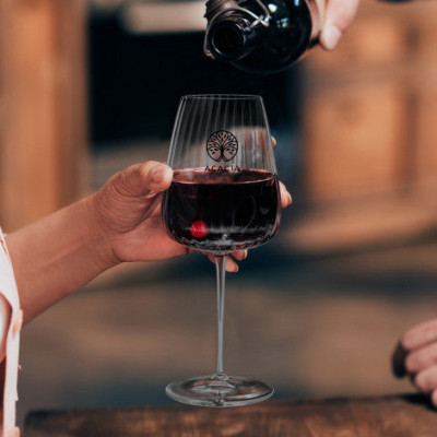 Luigi Bormioli Optica Bordeaux Glass 123298