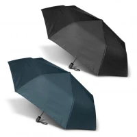 Economist Umbrella 120122