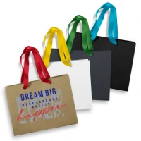 Medium Ribbon Handle Paper Bag 125057