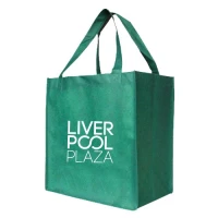 Non Woven Shopping Bag TB004-Offshore