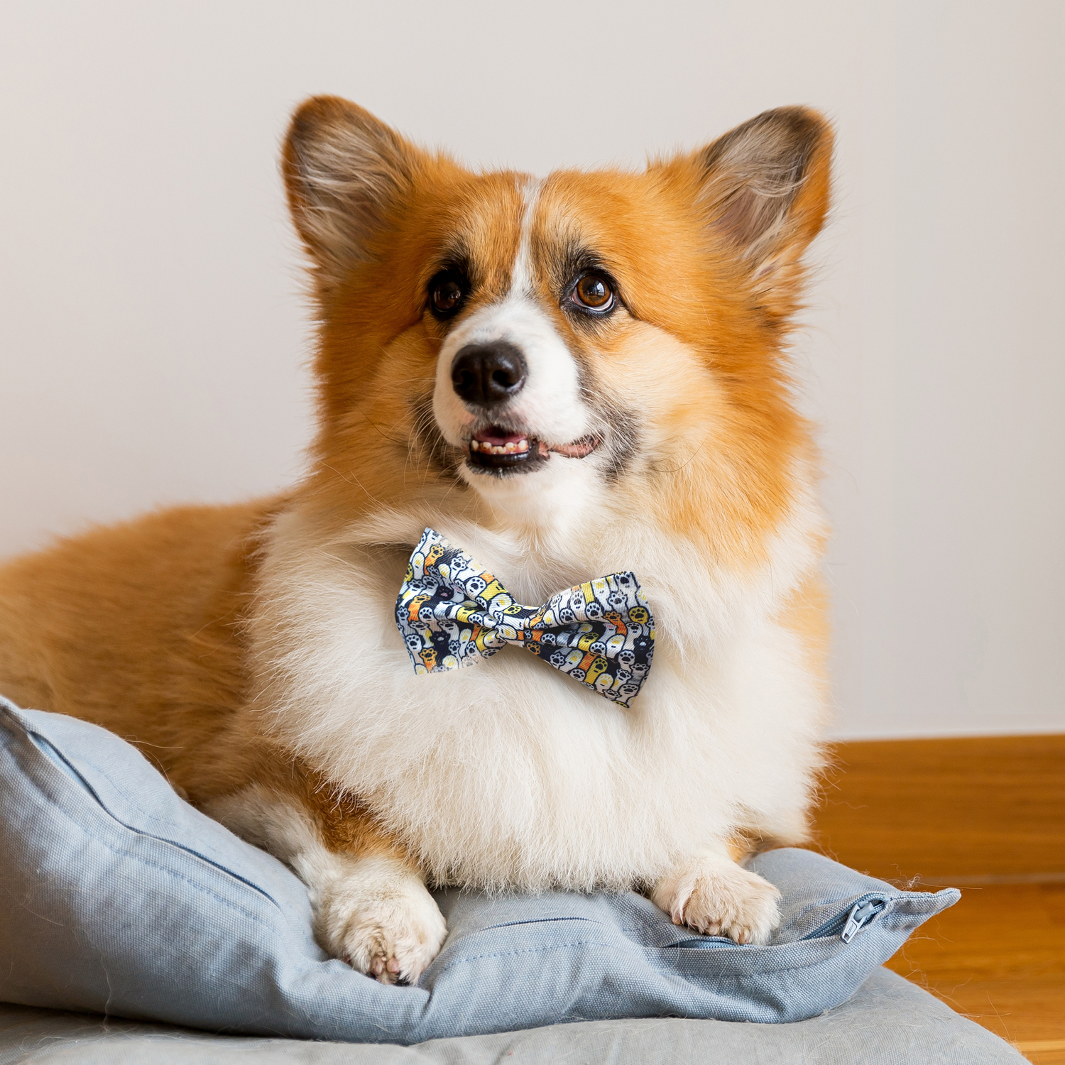 Amigo Pet Bow Tie 125067 | Feature