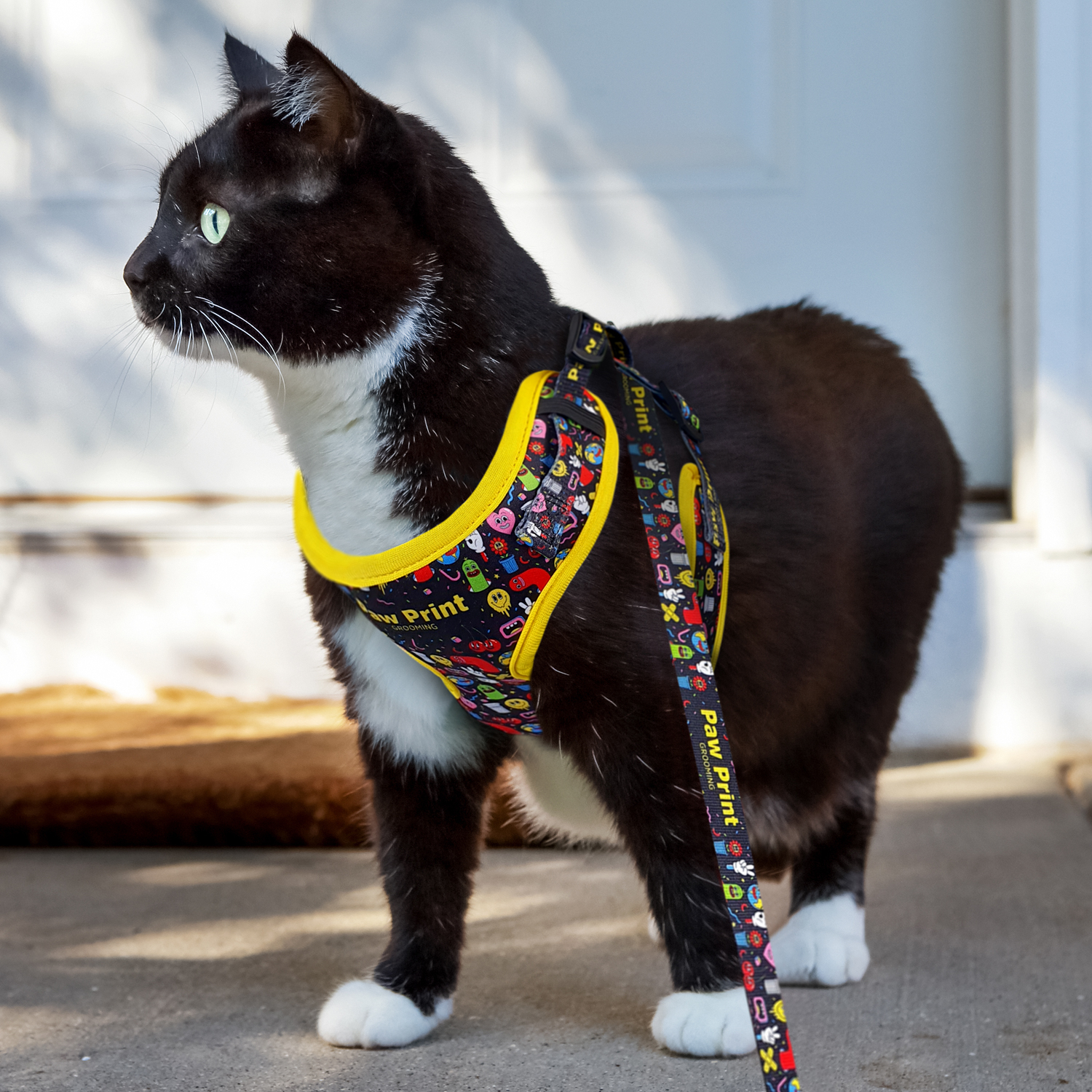 Amigo Pet Harness 125071 | Feature