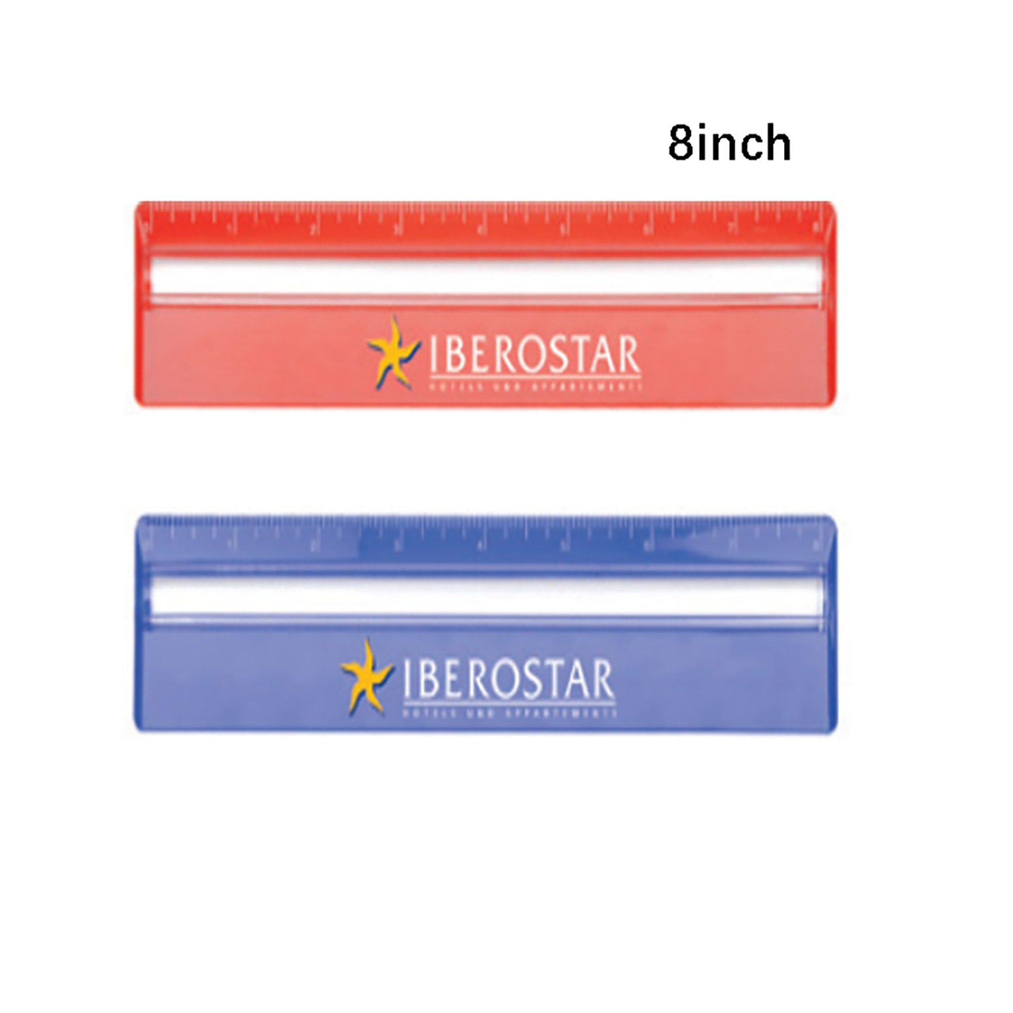 20cm Ruler with Magnifying DS059