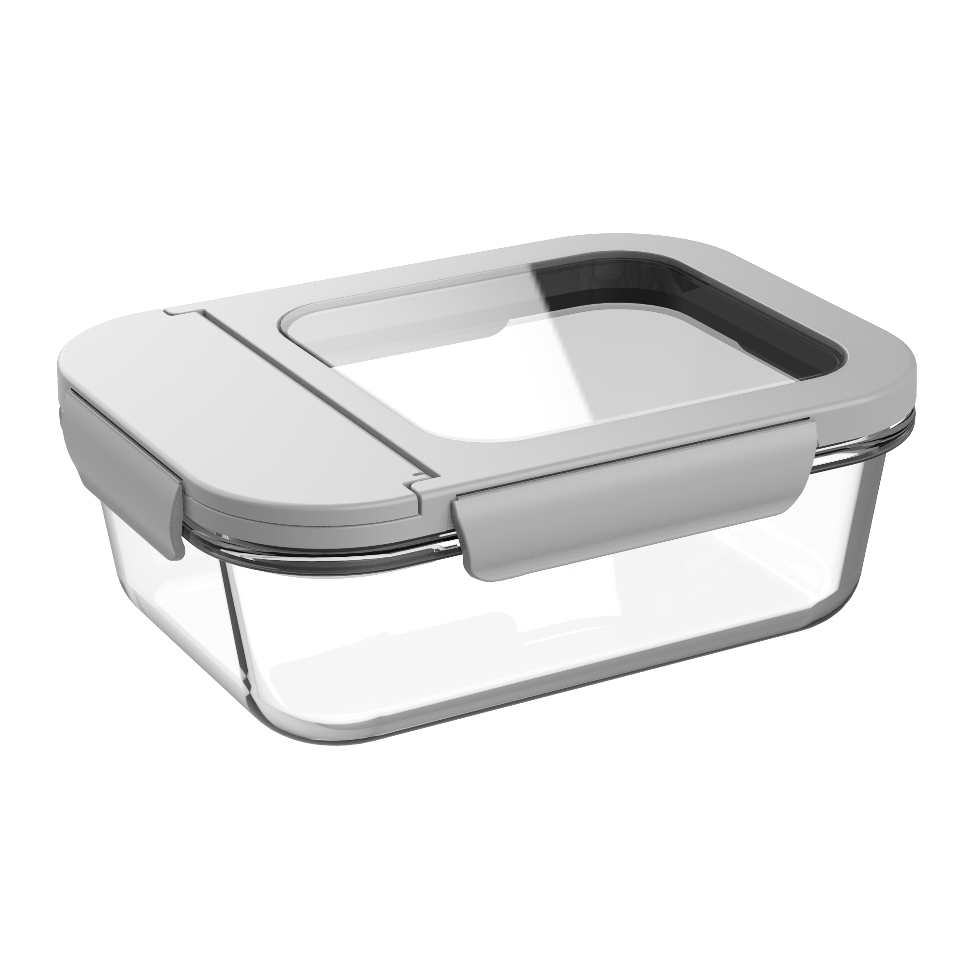 Glass Lunch Box DS1688 | Grey