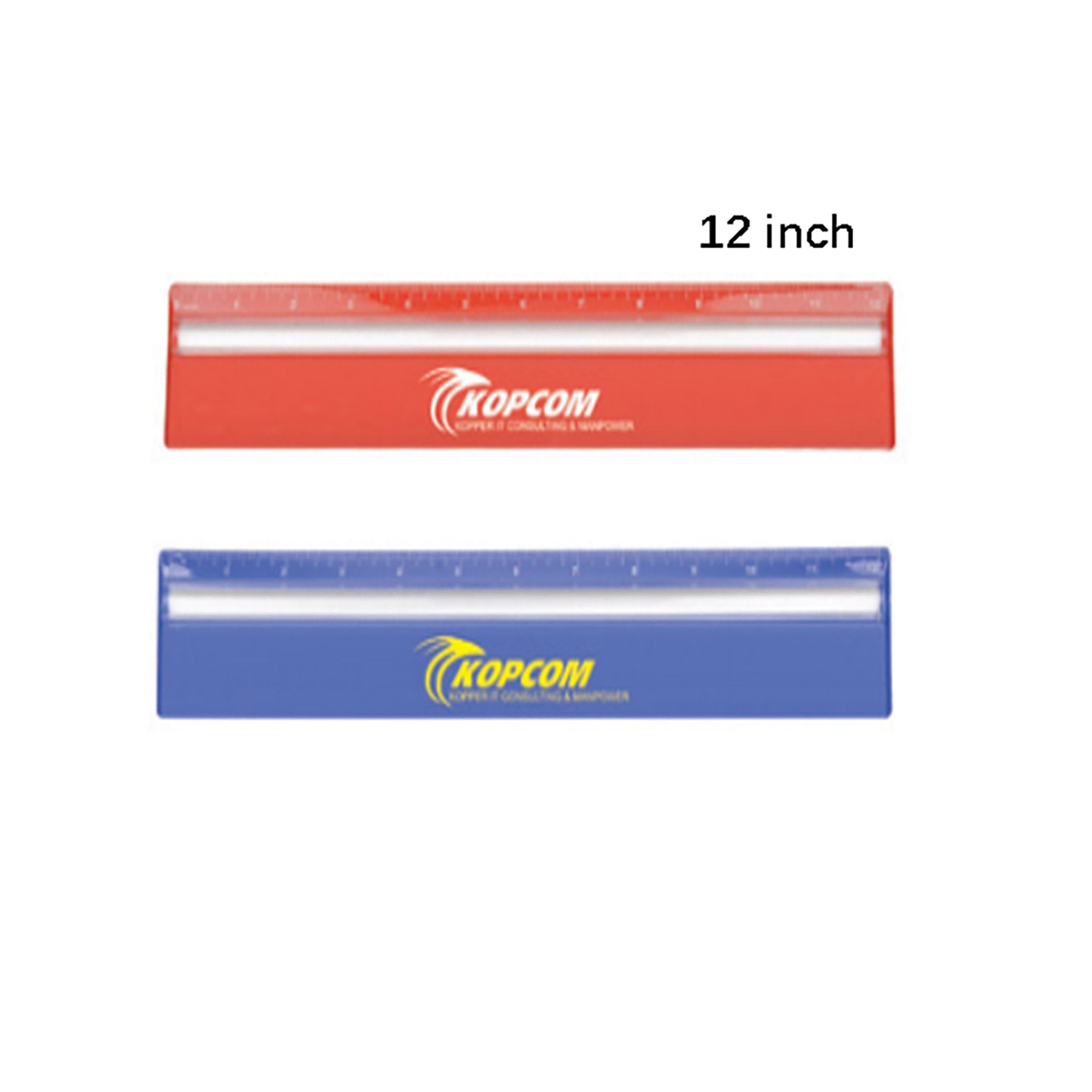 30cm Ruler with Colour and Magnifying DS256TL