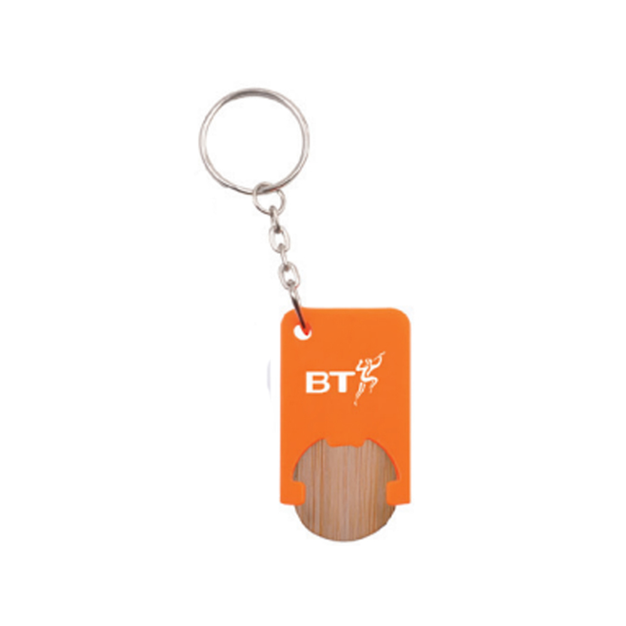 Key Tag DS670b